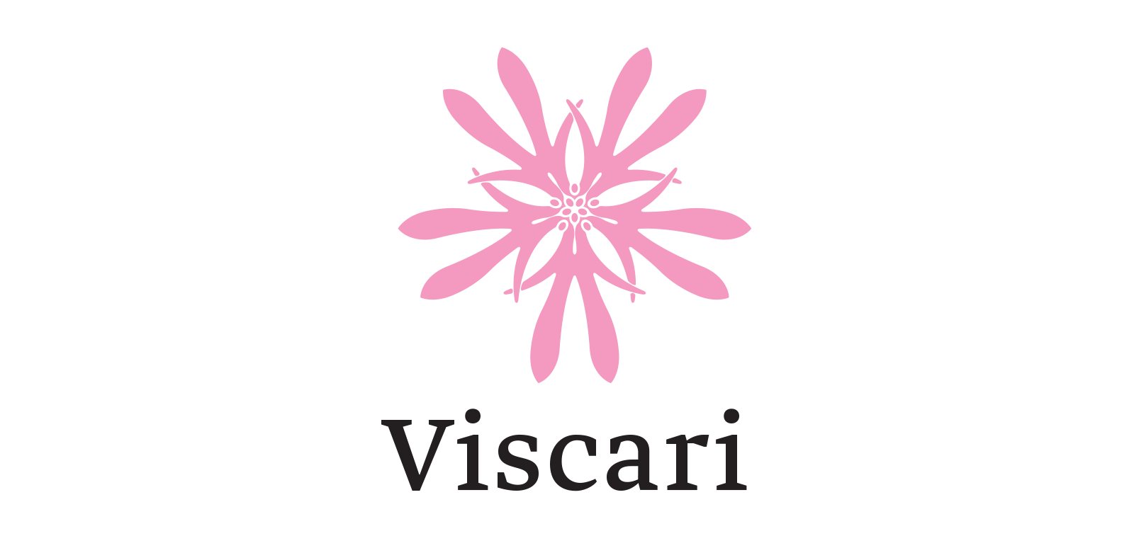 Logo project: Viscari